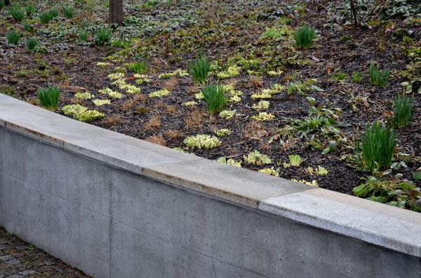 Concrete Wall Construction in Dacula