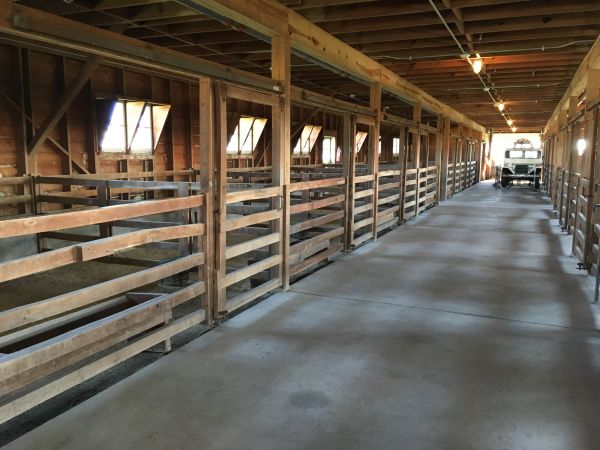 Barn Slab Construction in Dacula